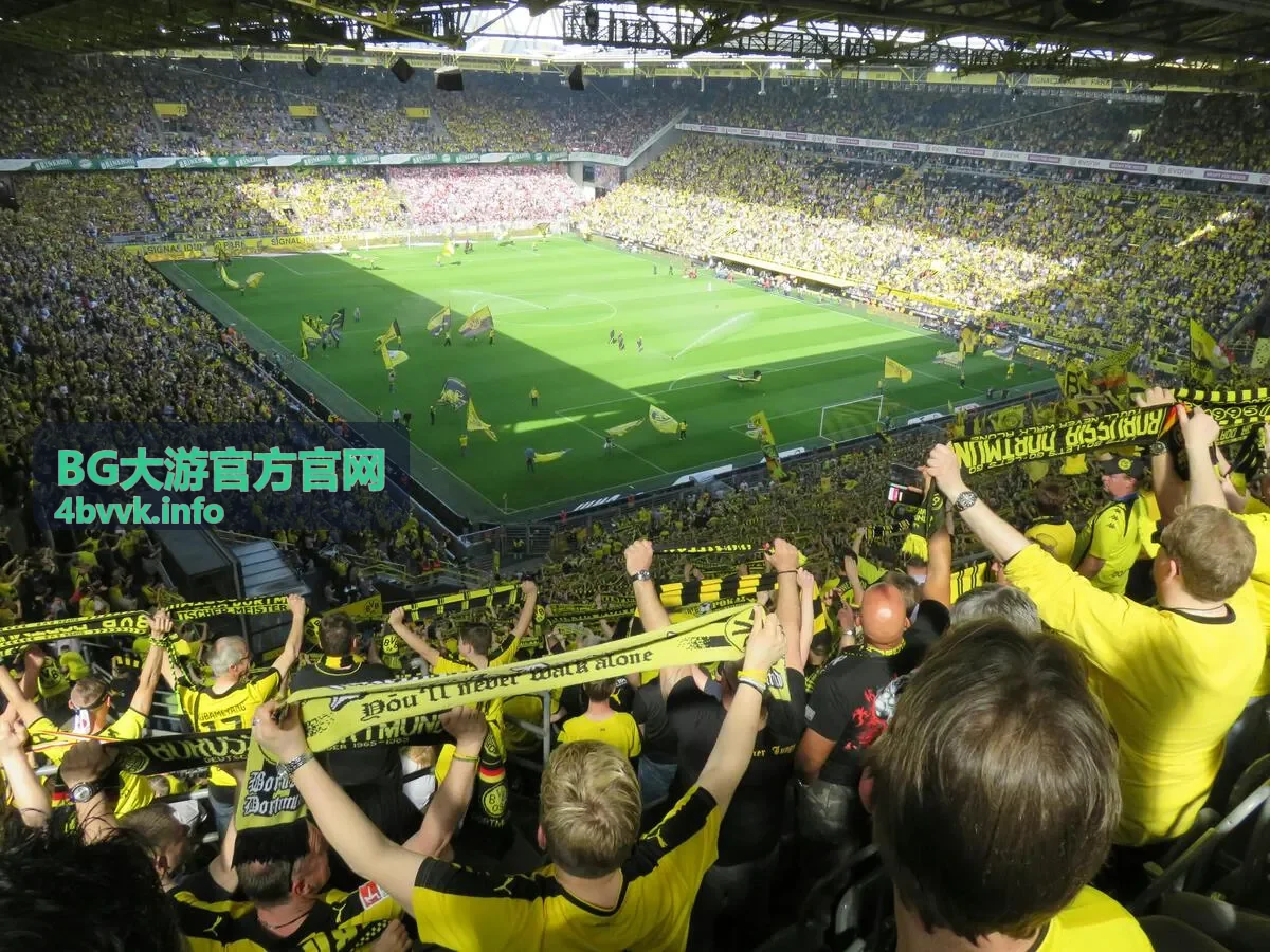 BG大游活动参与流程指引